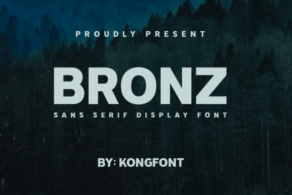Bronz Font: Modern Sans Serif for Digital Campaigns